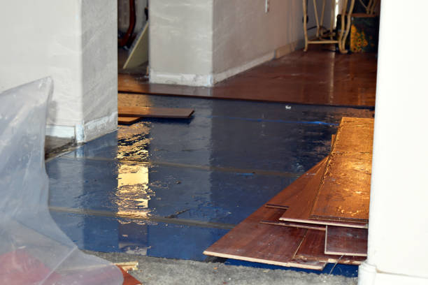 Professional Basement Flood Cleanup technician working in Lincoln, MA